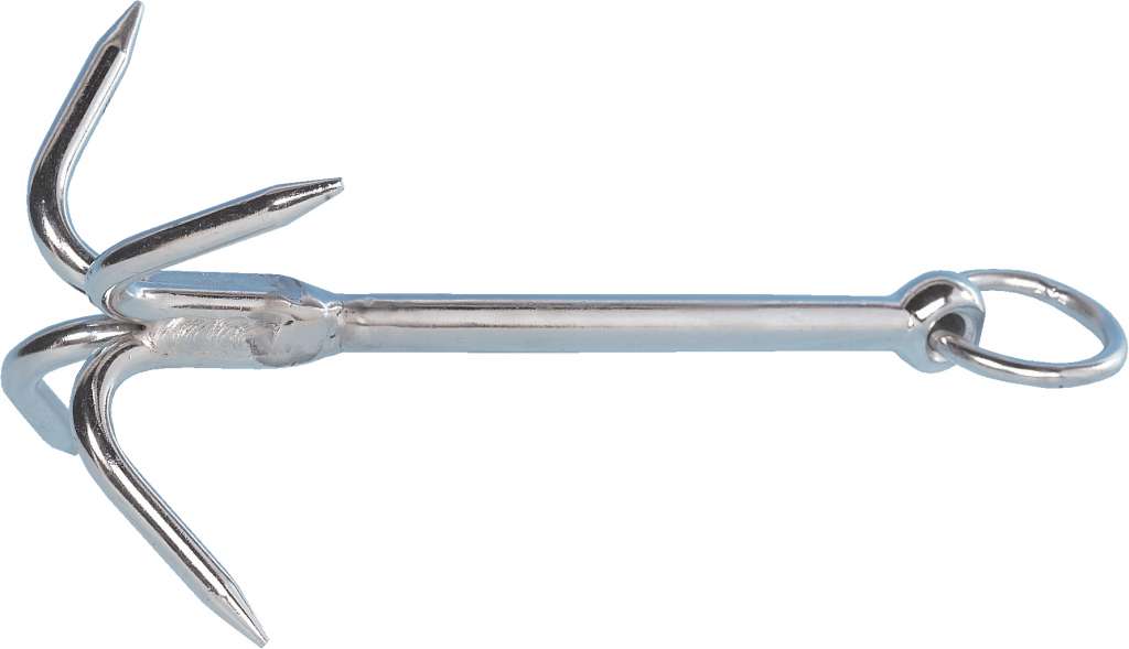 Soknedregg - Bilde 1