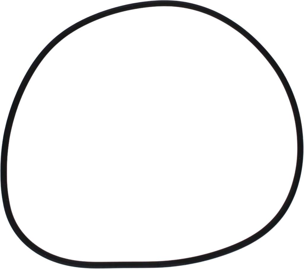 Pakning/o-ring til sjøvannsfilter 1007482/89+1091218 - Bilde 1