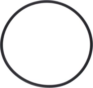 Pakning/o-ring til 3/4"(1007481)+ 1"(1007499) sjøvannsfilt