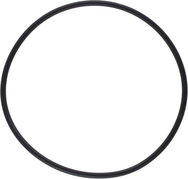 Pakning/o-ring til 3/4"(1007481)+ 1"(1007499) sjøvannsfilt