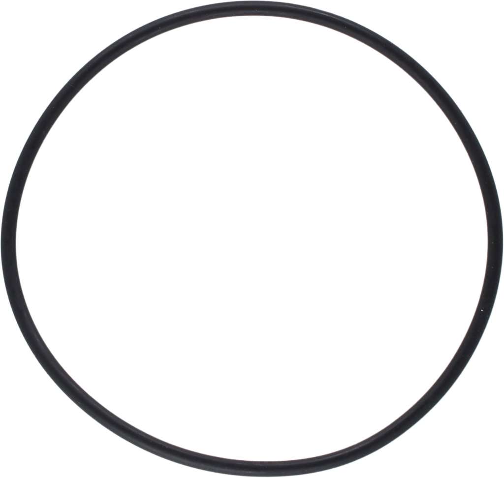 Pakning/o-ring til 3/4"(1007481)+ 1"(1007499) sjøvannsfilt - Bilde 1