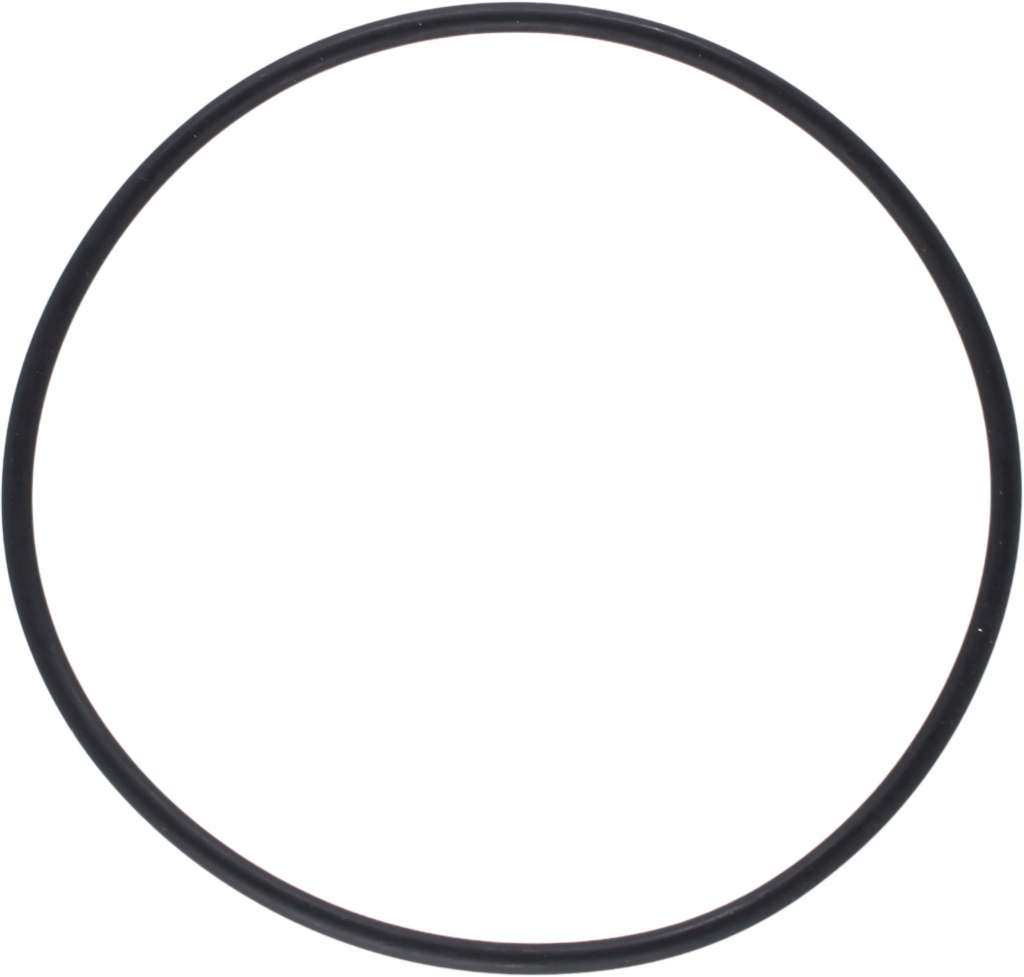 Pakning/o-ring til sjøvannsfilter 1007485/87 - Bilde 1