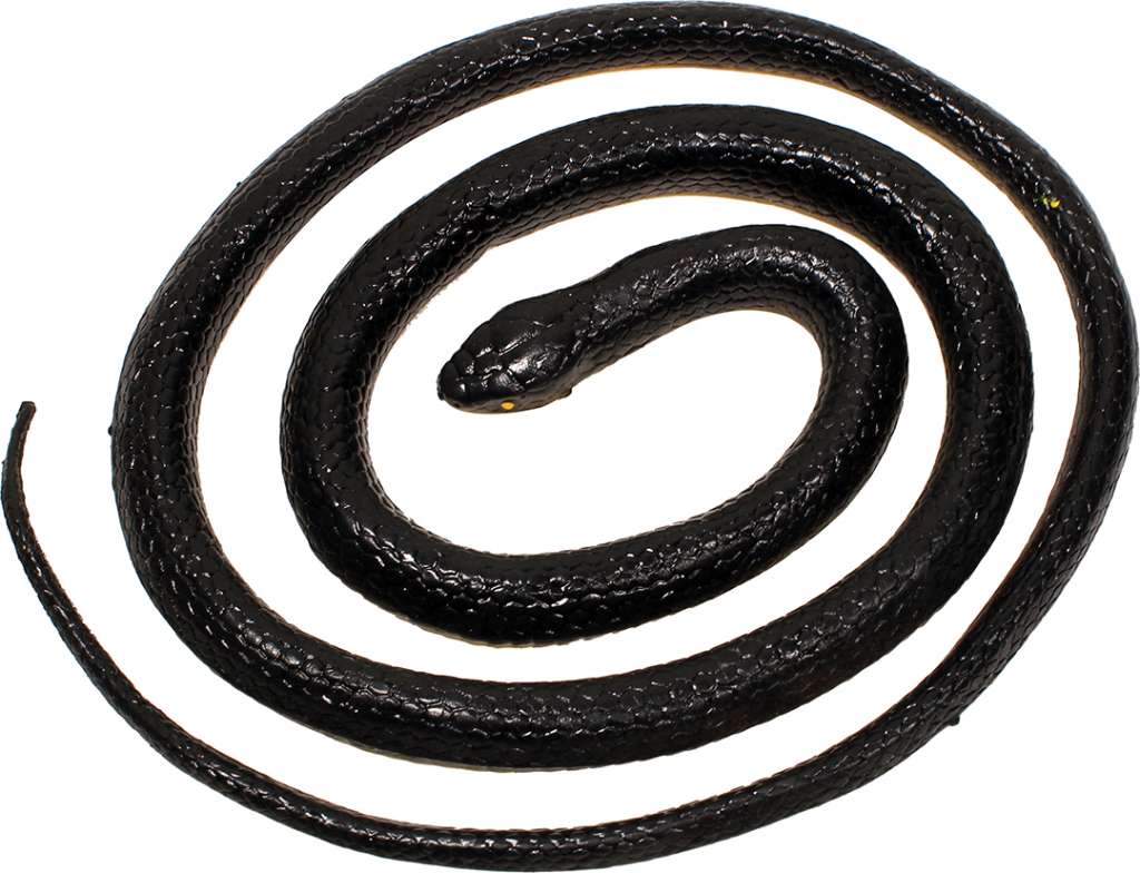 1852 Måkejager Orm, sort - Bilde 1