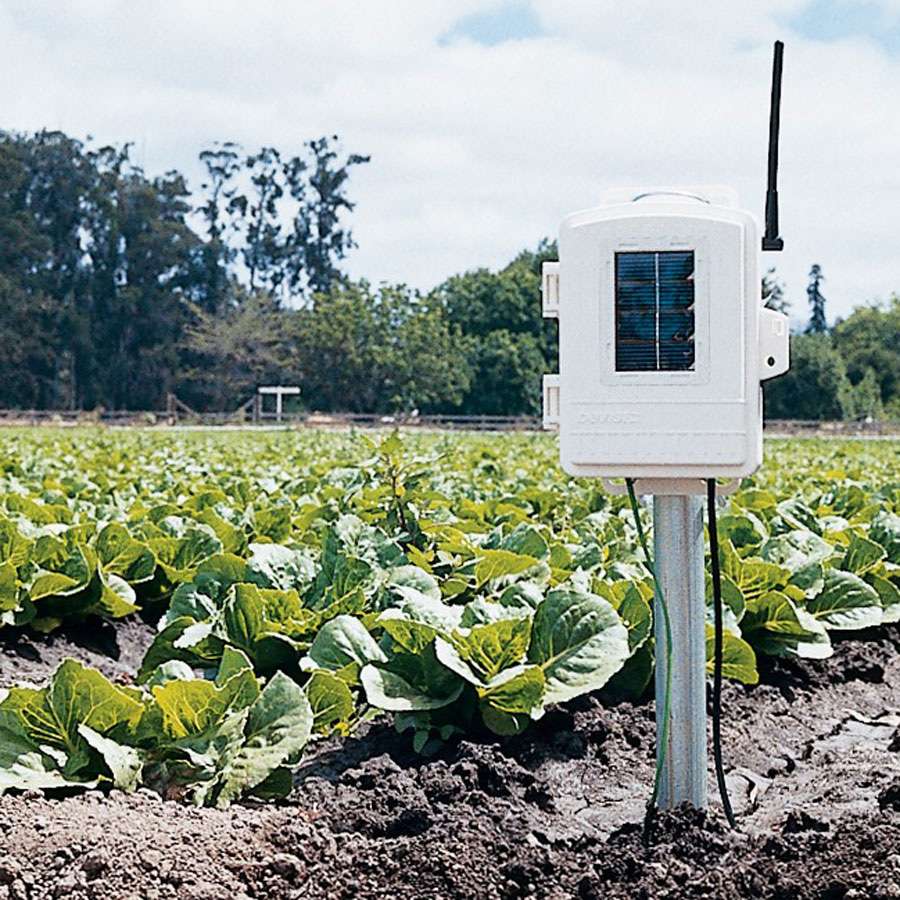 Davis Blad, jordfuktighet/temperatur stasjon - Bilde 1